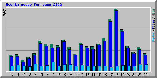 Hourly usage for June 2022